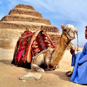 Camel and Egyptian Man at Step Pyramid in Cairo, Egypt - Encircle Photos