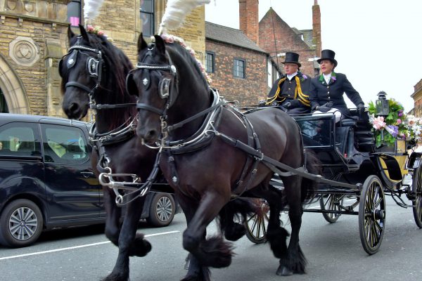 Horse-drawn Carriage Ride in York, England - Encircle Photos