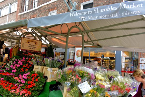 Shambles Market in York, England - Encircle Photos