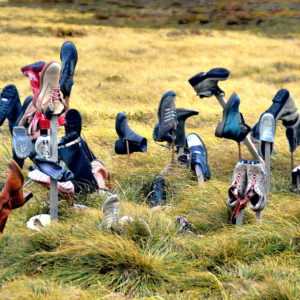 Boot Hill near Port Stanley in Falkland Islands - Encircle Photos