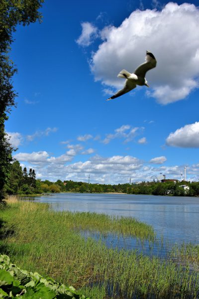 Töölönlahti Bay in Helsinki, Finland - Encircle Photos