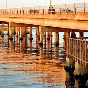 Green Bridge Turned Golden in Bradenton, Florida - Encircle Photos