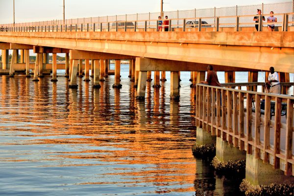 Green Bridge Turned Golden in Bradenton, Florida - Encircle Photos