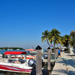 Boats Docked at Crandon Park Marina in Key Biscayne, Florida - Encircle Photos