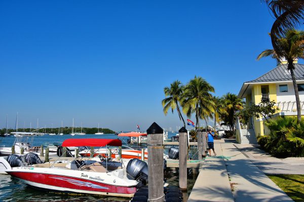 Boats Docked at Crandon Park Marina in Key Biscayne, Florida - Encircle Photos