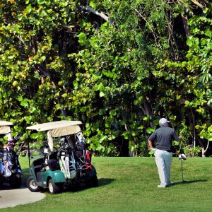 Players on Tee at Crandon Golf Course in Key Biscayne, Florida - Encircle Photos