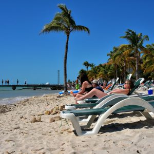 Sunning at Higgs Beach in Key West, Florida - Encircle Photos
