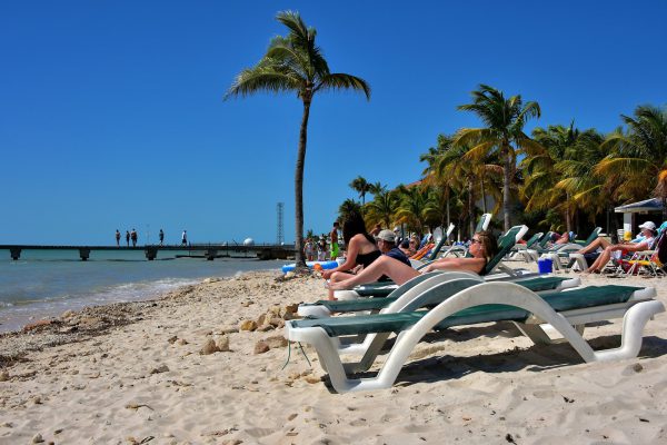 Sunning at Higgs Beach in Key West, Florida - Encircle Photos