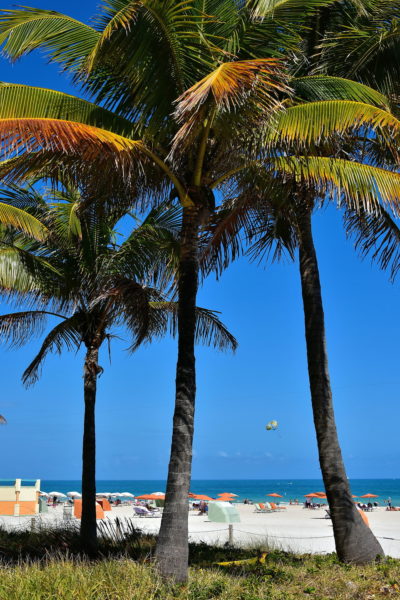 Lummus Park at South Beach in Miami Beach, Florida - Encircle Photos
