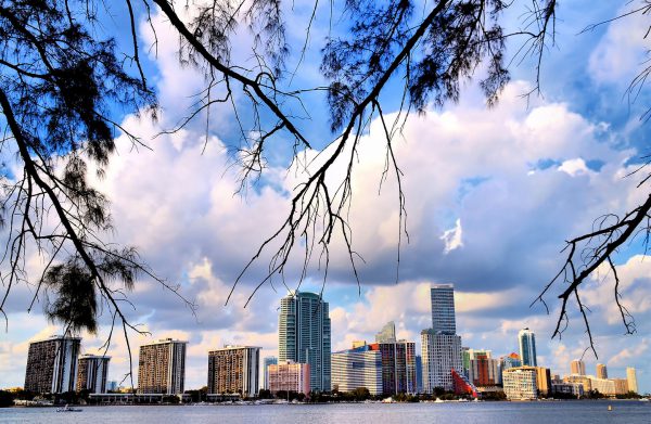 Downtown Miami Skyline View from Virginia Key, Florida - Encircle Photos