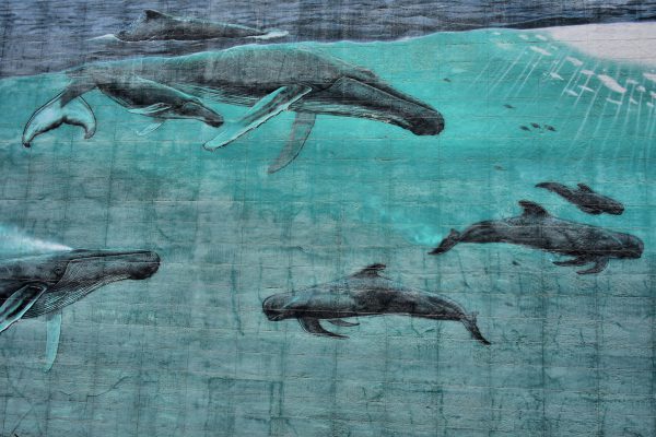 Florida’s Marine Life Mural by Wyland in Miami, Florida - Encircle Photos