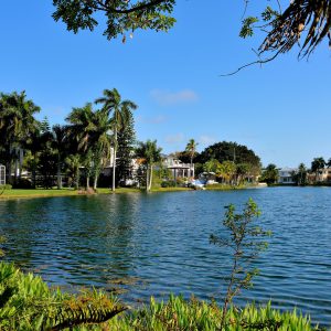 Large Homes on Shoreline of a Cove in Naples, Florida - Encircle Photos