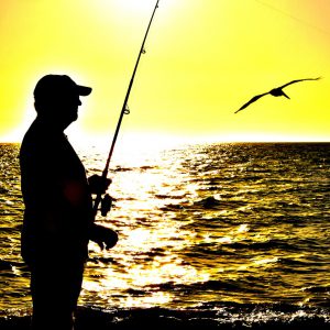 Man Fishing during Gulf Coast Sunset in Naples, Florida - Encircle Photos