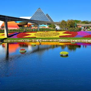 Starbursts Garden in Festival Blooms Section at Epcot in Orlando, Florida - Encircle Photos