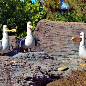 Mechanical Seagulls in Future World West at Epcot in Orlando, Florida - Encircle Photos