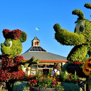 Minnie Mouse and Pluto Topiaries in Showcase Plaza at Epcot in Orlando, Florida - Encircle Photos