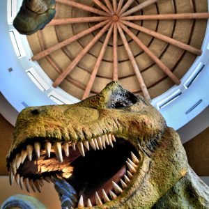 Jurassic Park Discovery Center at Islands of Adventure in Orlando, Florida - Encircle Photos