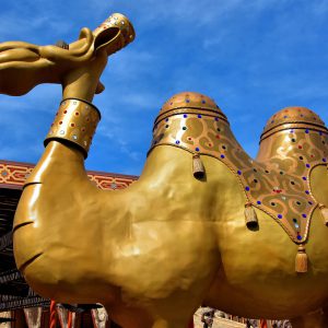 Golden Camel in Adventureland at Magic Kingdom in Orlando, Florida - Encircle Photos