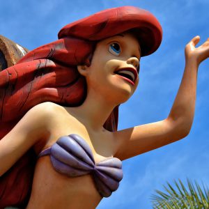 Little Mermaid in Fantasyland at Magic Kingdom in Orlando, Florida - Encircle Photos
