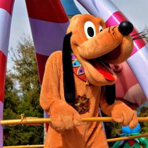 Pluto on Parade at Magic Kingdom in Orlando, Florida - Encircle Photos