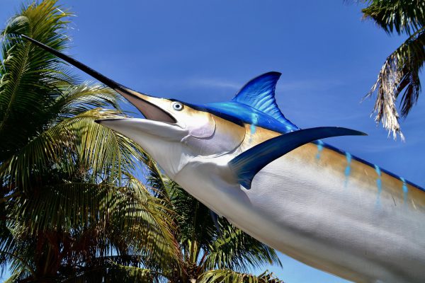 Giant Swordfish as Part of Sign in Pompano Beach, Florida - Encircle Photos
