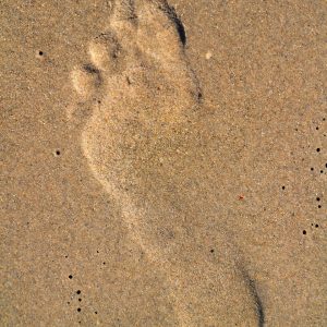 Footprint on the Beach on Sanibel Island, Florida - Encircle Photos