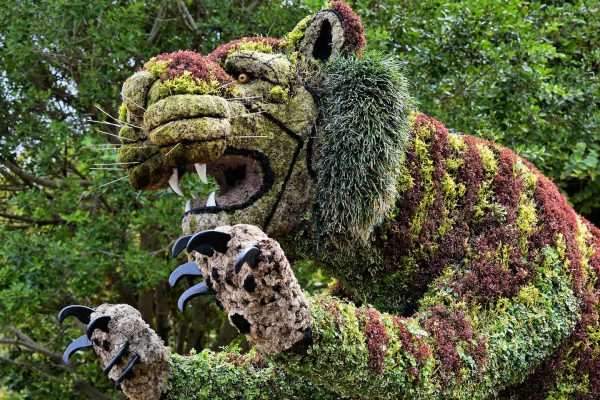 Big Cat Bush Sculpture at Busch Gardens in Tampa, Florida - Encircle Photos