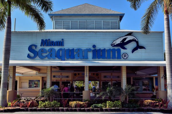 Miami Seaquarium Entrance in Virginia Key, Florida - Encircle Photos