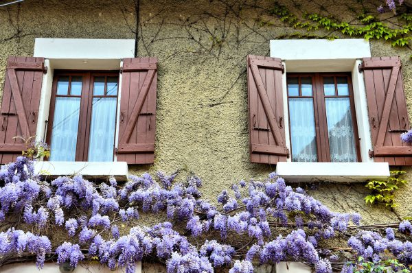 Cottage with Purple Lilacs in Annecy, France - Encircle Photos