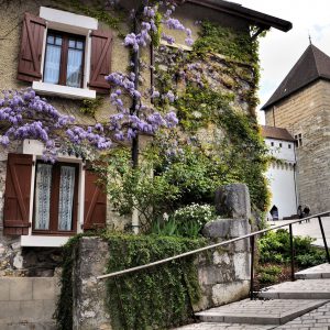 Cottage on Mount Semnoz in Annecy, France - Encircle Photos