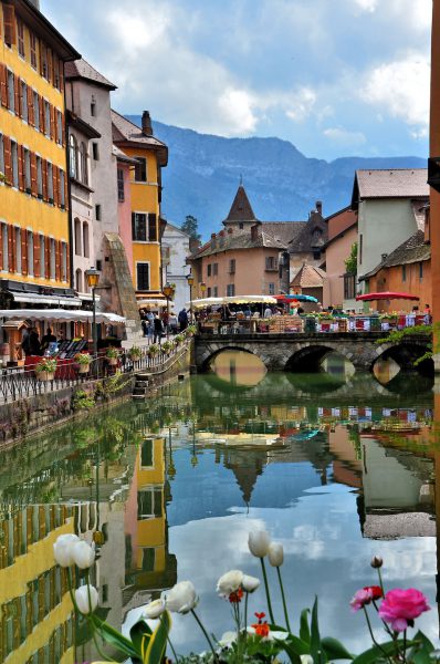 Springtime White Tulips in Annecy, France - Encircle Photos