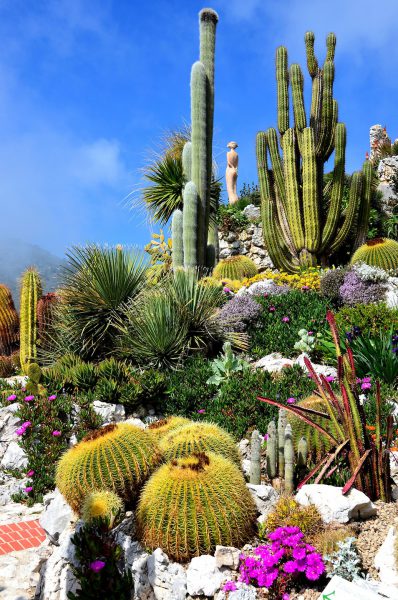 Jardin Exotique Garden Blooming Cacti and Succulents in Éze, France - Encircle Photos