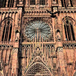 Strasbourg Cathedral Main Portal in Strasbourg, France - Encircle Photos