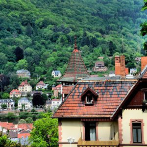 Neckar Valley in Heidelberg, Germany - Encircle Photos