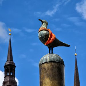 Seagull Statue at Neuer Markt in Rostock, Germany - Encircle Photos
