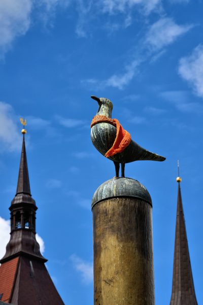 Seagull Statue at Neuer Markt in Rostock, Germany - Encircle Photos