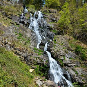 Todtnauer Waterfalls from Hiking Path in Todtnauberg, Germany - Encircle Photos