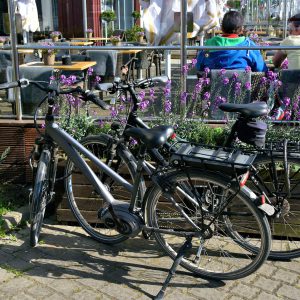 Bicycles along Restaurant at Alte Strom in Warnemünde, Germany - Encircle Photos