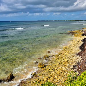 Calcified Coral Shoreline in Bodden Town, Grand Cayman - Encircle Photos