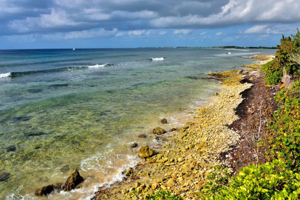 Calcified Coral Shoreline in Bodden Town, Grand Cayman - Encircle Photos