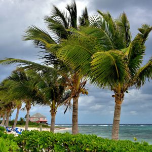 Resort Private Beach at Northern Tip of East End, Grand Cayman - Encircle Photos