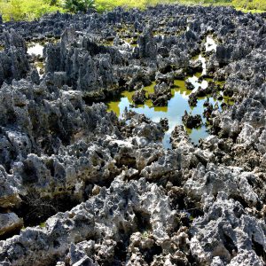 Limestone Rock Formations at Hell in West Bay, Grand Cayman - Encircle Photos