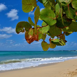 Seven Mile Beach in West Bay, Grand Cayman - Encircle Photos