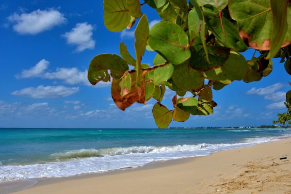 Seven Mile Beach in West Bay, Grand Cayman - Encircle Photos