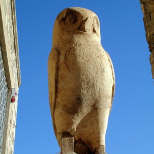 Owl of Athena at Acropolis Museum in Athens, Greece - Encircle Photos