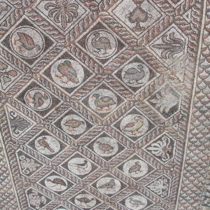 Birds Mosaic Floor at Archaeological Museum in Delphi, Greece - Encircle Photos