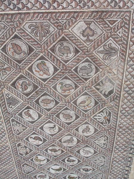 Birds Mosaic Floor at Archaeological Museum in Delphi, Greece - Encircle Photos