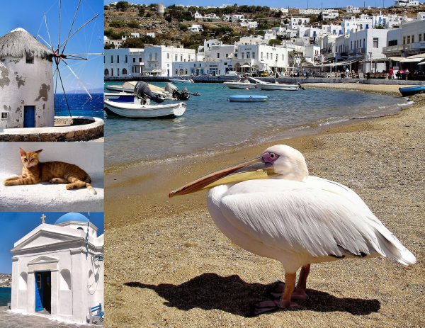 Mykonos, Greece Composite of Four Photos - Encircle Photos