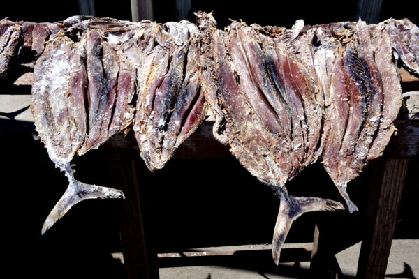 Drying Fish at Fish Market in Grenville, Grenada - Encircle Photos