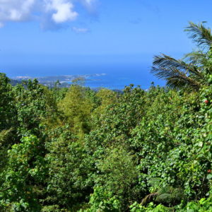 Overlook at Saints Andrew and George Parishes Border in Grenada - Encircle Photos